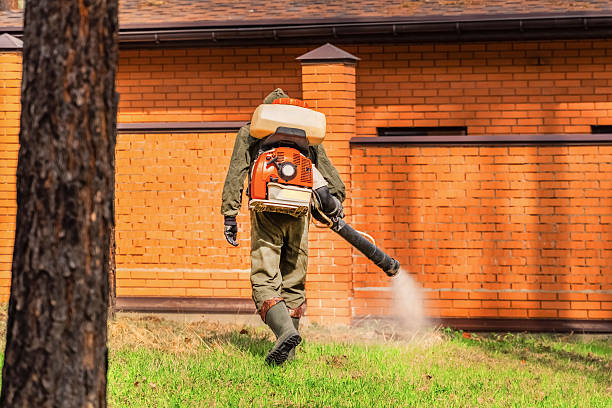Trusted Ant Control service in Anamosa, IA - Nex Pest Control
